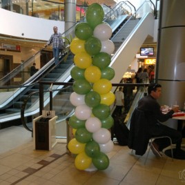 06102011295