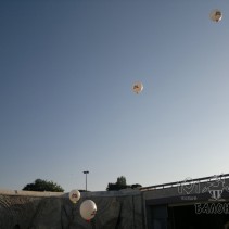 2012-09-27-031