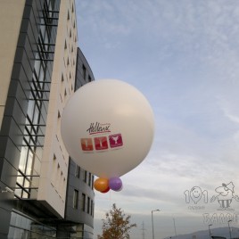 2012-11-12-078